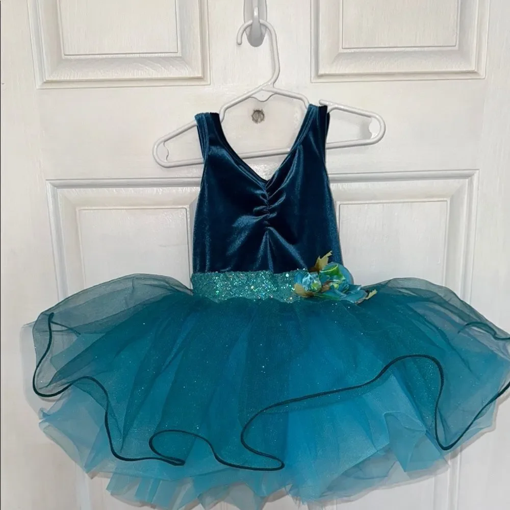 Girl’s Small blue Ballet Tutu Dress Dance Fairy Princess dress ~ Dress Up